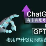 ChatGPT Plus 订阅老用户续费_ ChatGPT Plus余额充值_OPenAI API代充代购（老用户api余额充值）